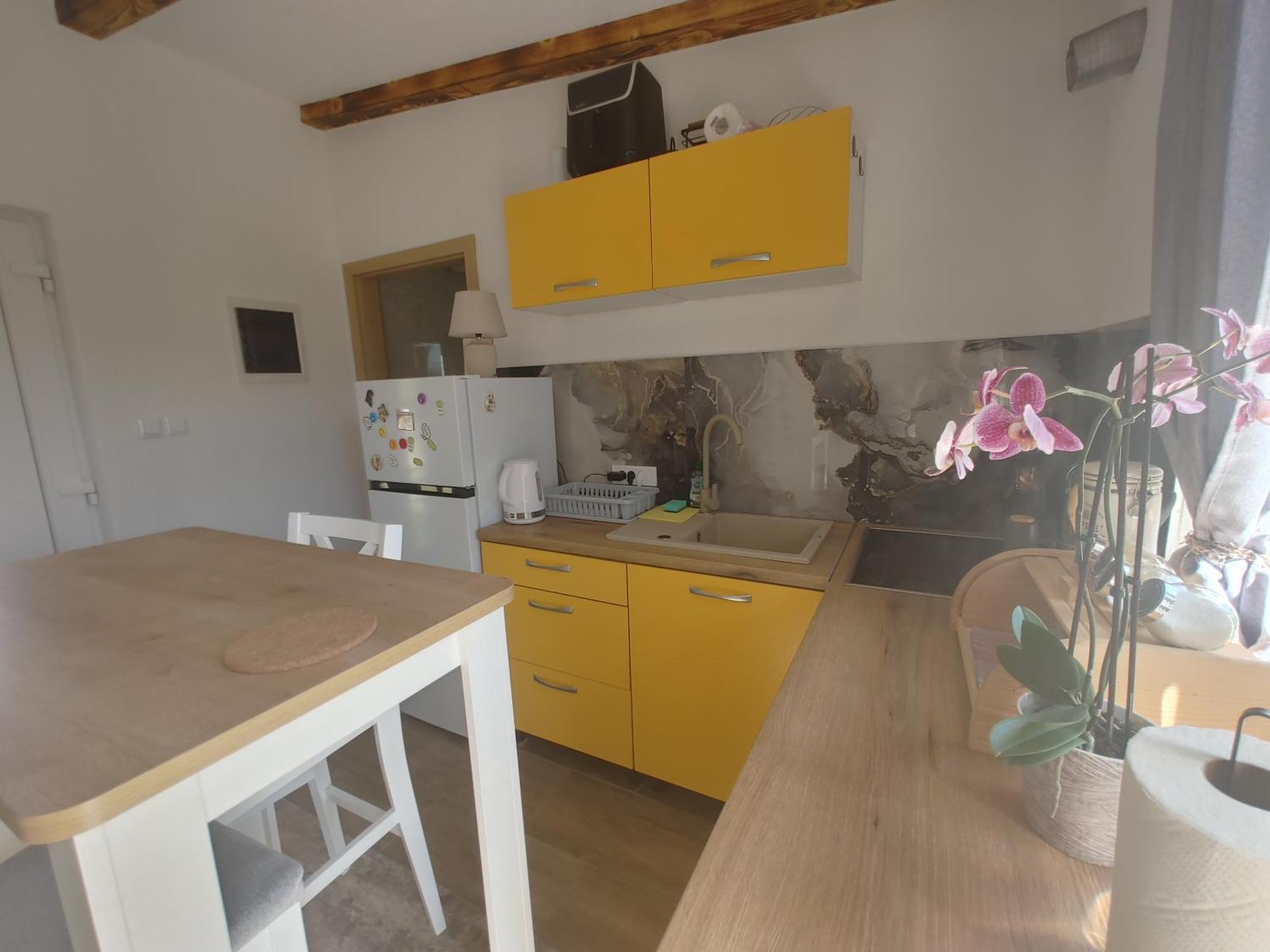 Cattleya Διαμέρισμα Novigrad Istria Εξωτερικό φωτογραφία